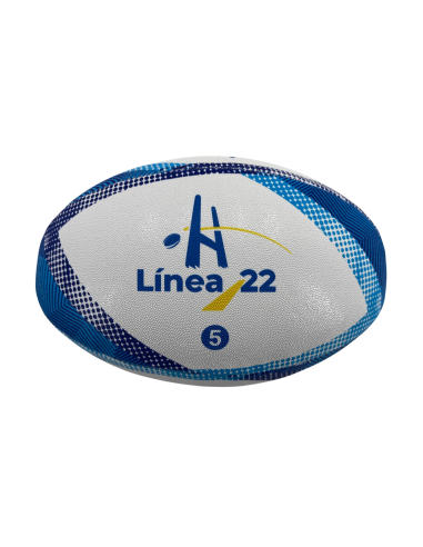 Balón entrenamiento básico (Línea22)
